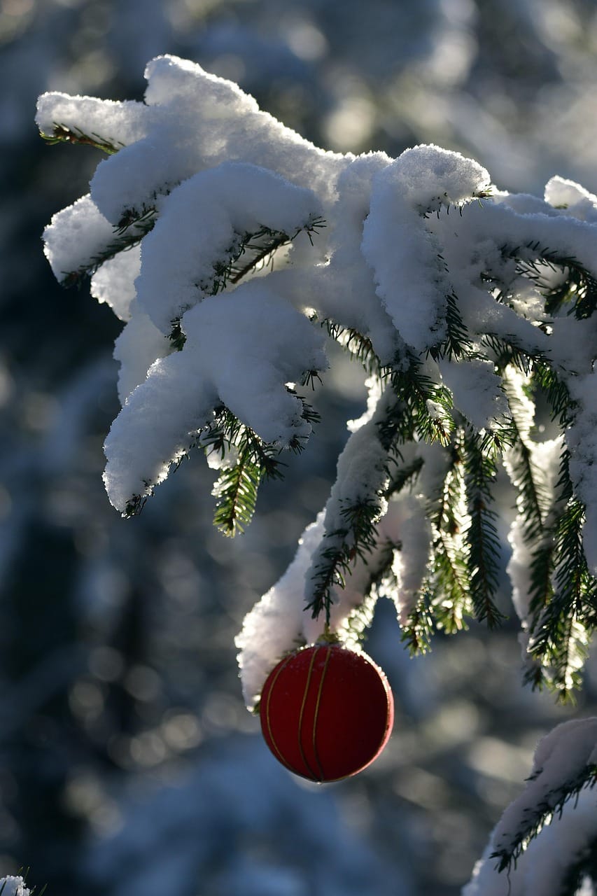 tanenzweig mit Schnee u. Weihnachtskugel